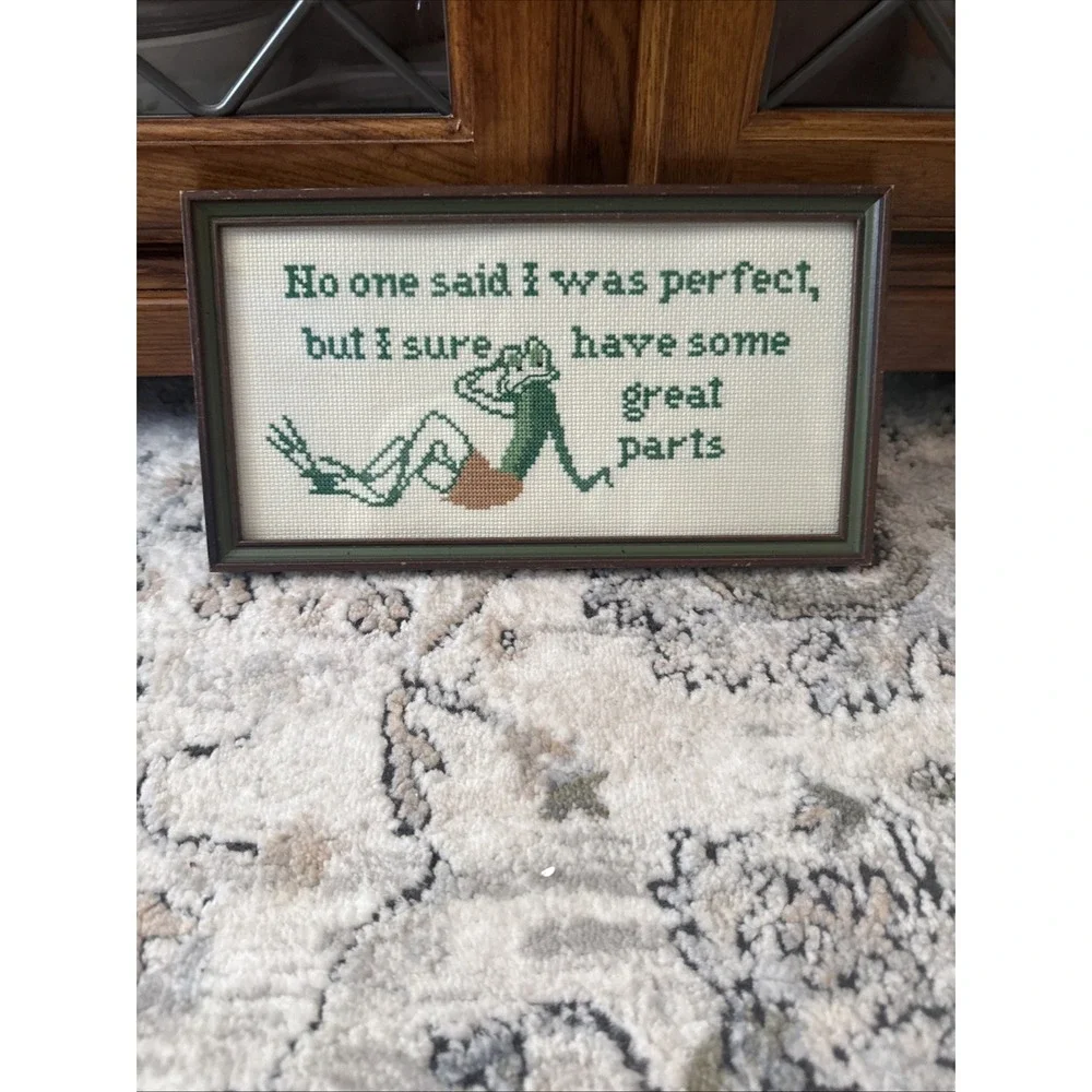 Humorous Framed Cross Stitch Quote Finished Wall Decor Art Sexy Toad